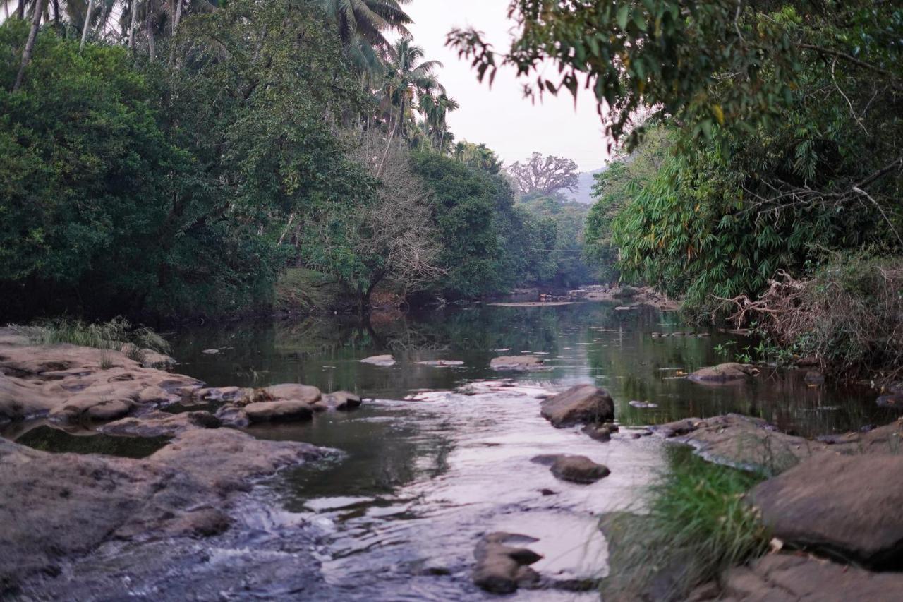 Hotel Athirapilly On The Rocks Athirappilly Exterior foto