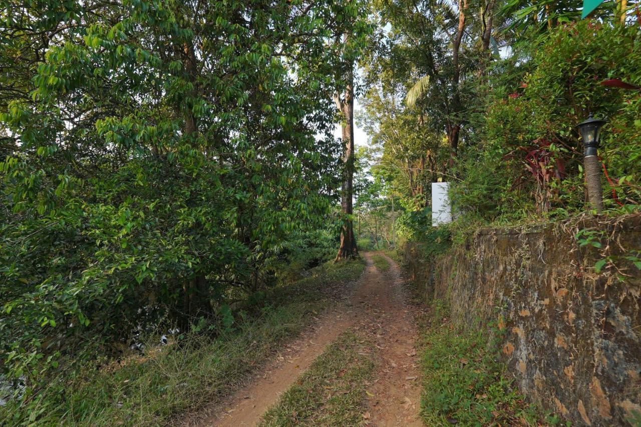 Hotel Athirapilly On The Rocks Athirappilly Exterior foto