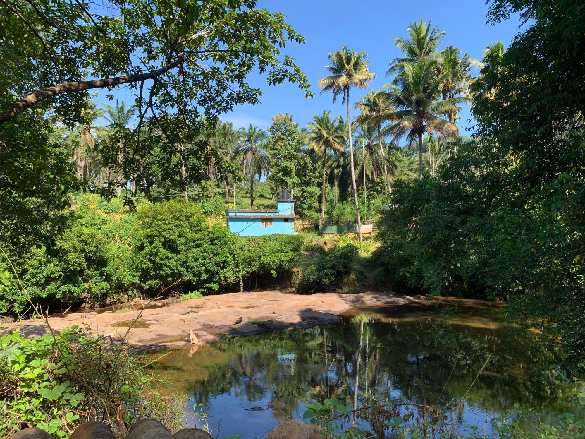 Hotel Athirapilly On The Rocks Athirappilly Exterior foto